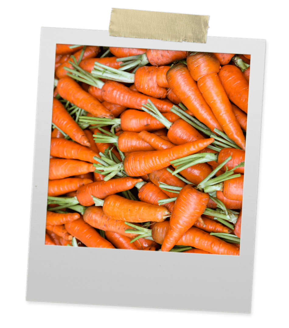 Carottes oranges en vrac